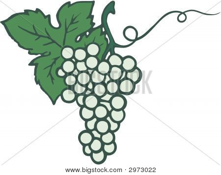 GRAPE