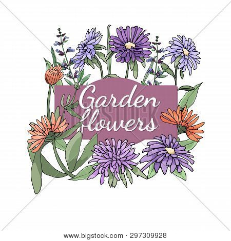 Floral Set. Summer And Spring Isolated Garden Flowers.