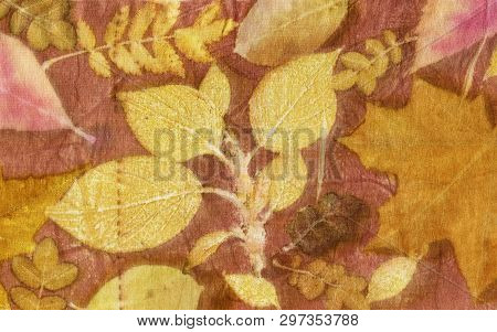 Botanical Print With Leaf Prints On Natural Silk. Hand-drawn Illustration.