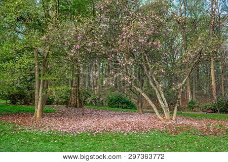 A Spring Landscape In Holmdel Park In Monmouth County New Jersey.