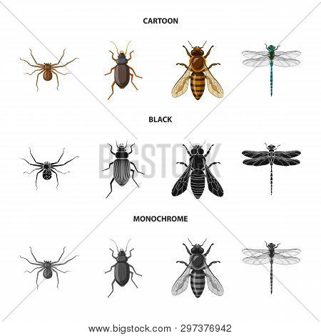 Isolated Object Of Insect And Fly Icon. Collection Of Insect And Element Stock Symbol For Web.