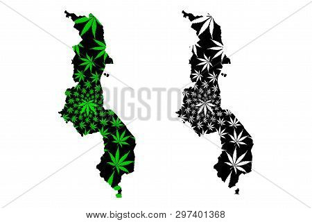 Malawi - Map Is Designed Cannabis Leaf Green And Black, Republic Of The Malawi Map Made Of Marijuana
