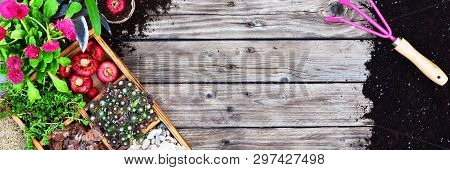 Garden Tools, Flowers, Fertilizers, Seeds, Garden Tools On A Wooden Background. Spring Garden Workin