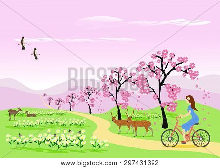 A Blue Skirt Woman Is Riding A Bicycle Along The Way. In The Garden With Flowers ,sakura And Deer Th
