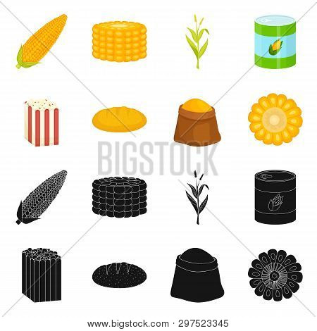 Vector Illustration Of Cornfield And Vegetable Icon. Set Of Cornfield And Vegetarian Stock Vector Il