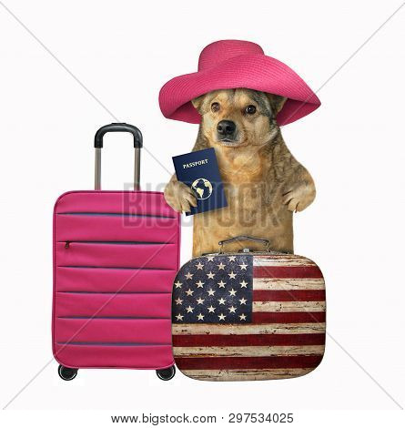 The Dog Tourist In A Straw Hat With A International Passport Is Near The Suitcases. White Background