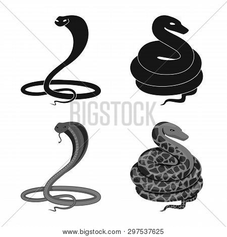 Vector Design Of Mammal And Danger Symbol. Collection Of Mammal And Medicine Stock Symbol For Web.