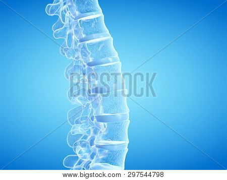 3d rendered medically accurate illustration of the human spine
