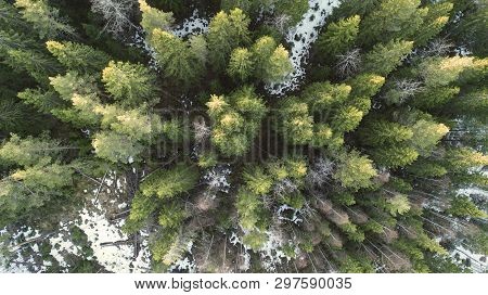 Aerial Photography Of A Forest In Winter