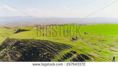 Herd Of Horses View From Drone Frightened Horse Stands On Its Legs During Traditional Game At Karako