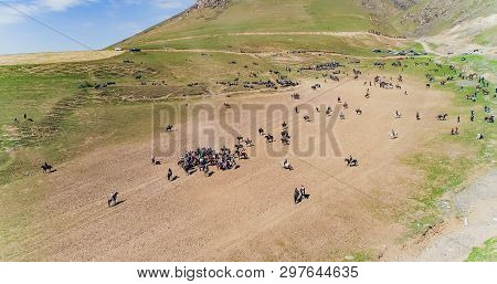 Herd Of Horses View From Drone Frightened Horse Stands On Its Legs During Traditional Game At Karako