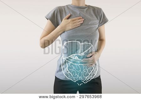 Highlighted Blue Internal Organs Of Healthy Human Organsim / Protection From Illnesses
