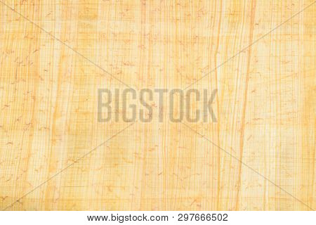 Real Egypt Papyrus Paper Background And Texture Number 16. Close Up Macro.