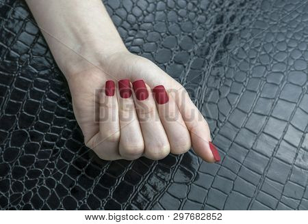 Stylish Fashionable Female Red Matte Manicure, Square Shape, On Black Background, Crocadile Skin