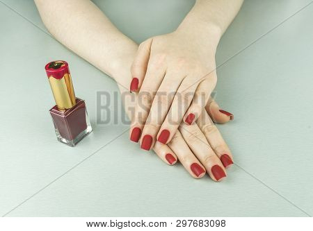 Stylish Fashionable Female Red Matte Manicure, Square Shape, On Black Background, Crocadile Skin