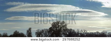 Rare lenticular stratocumulus clouds crossing winter sky with trees silhouetted against it