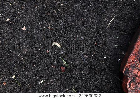 Close Up Of An Griculture Ground Surface With High Details In High Resolution