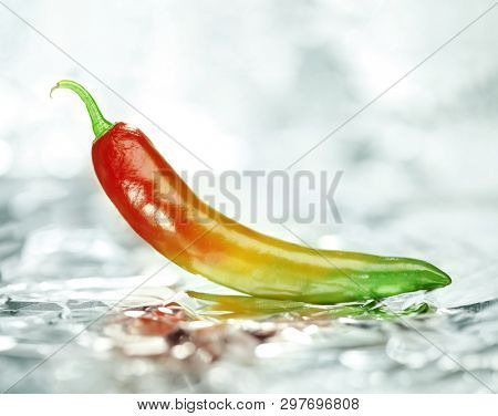 Fresh Chili pepper in red, yellow, and green