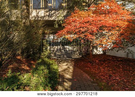 Burnaby, Canada - November 17, 2018: Simon Fraser University Campus On Burnaby Mountain.