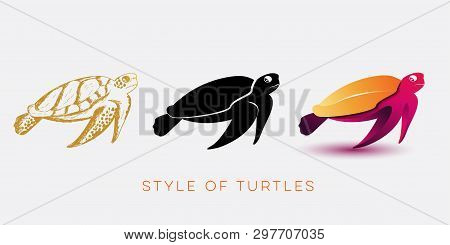 Turtle Illustration Design In Three Style Vector Template