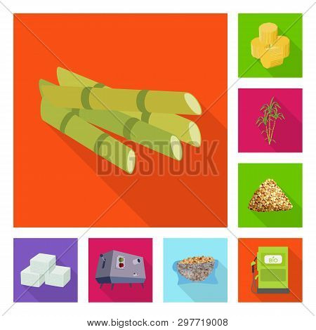 Vector Illustration Of Plant And Plantation Symbol. Set Of Plant And Agriculture  Vector Icon For St