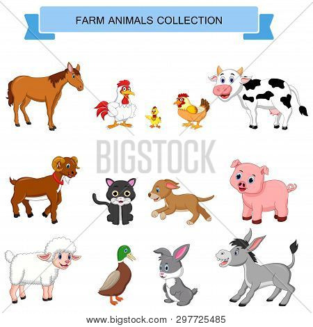 Cartoon Farm Animals Collection Isolated On White Background