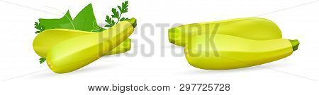 Zucchini Isolated On Background. Squash Whole. Fresh Vegetable Marrow Isolated. Oblong, Green Squash