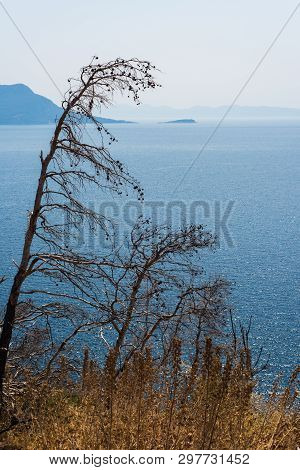 Beautiful Dalmatian Coast, Trstenik, Dalmatia, Croatia, Peljesac Peninsula