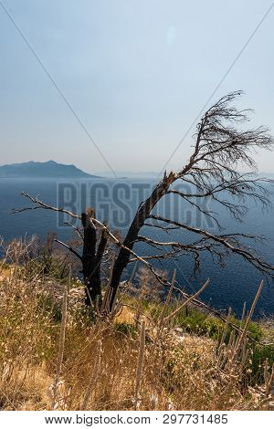 Beautiful Dalmatian Coast, Trstenik, Dalmatia, Croatia, Peljesac Peninsula