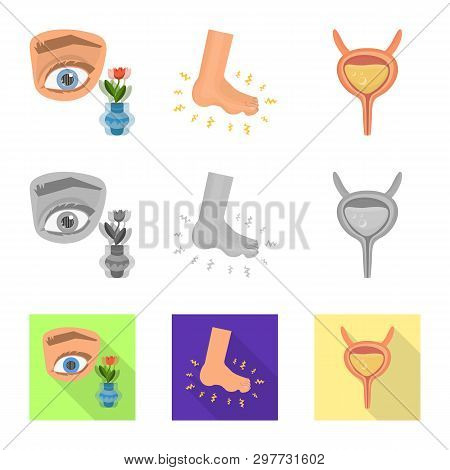 Vector Illustration Of Diet And Treatment  Icon. Collection Of Diet And Medicine Vector Icon For Sto