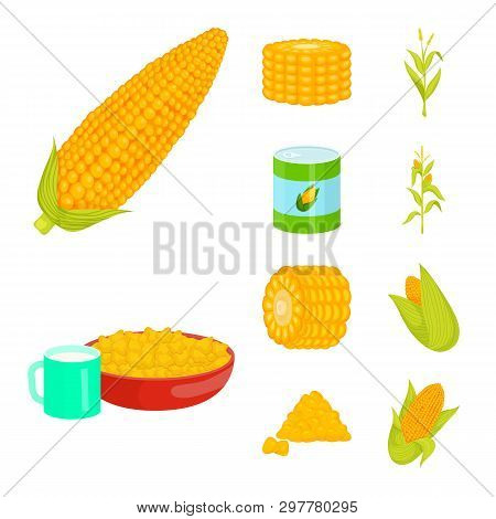 Vector Illustration Of Maize And Food Symbol. Collection Of Maize And Crop Vector Icon For Stock.