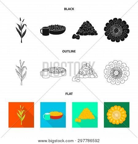 Vector Illustration Of Cornfield And Vegetable Icon. Set Of Cornfield And Vegetarian Vector Icon For