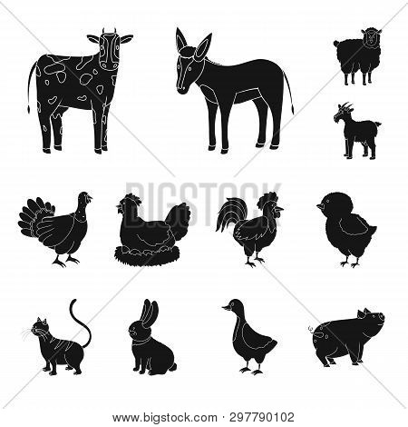 Vector Illustration Of Ranch  And Organic  Icon. Collection Of Ranch  And Food Vector Icon For Stock