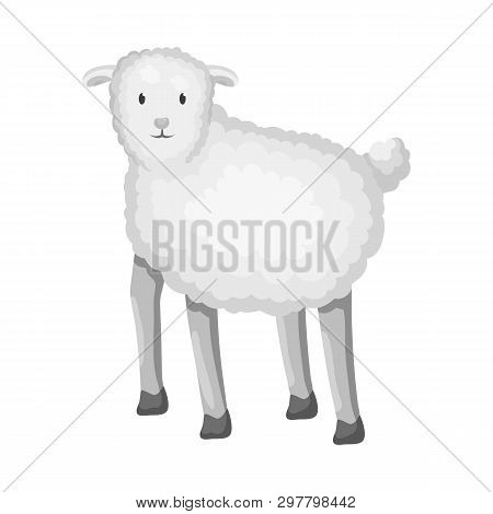 Vector Design Of Sheep And Anima Symbol. Set Of Sheep And Lamb Vector Icon For Stock.
