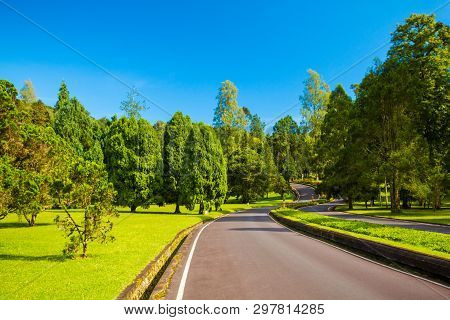 Bali Botanic Garden Or Kebun Raya Bedugul Is The Largest Botanic Garden In Bali Island And Indonesia