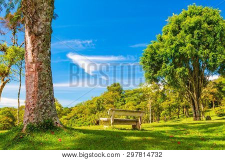 Bali Botanic Garden Or Kebun Raya Bedugul Is The Largest Botanic Garden In Bali Island And Indonesia