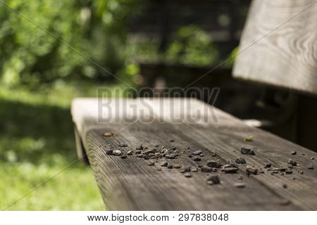 Small Pebbles On A Wooden Bench In A Park In North Carolina, Usa.