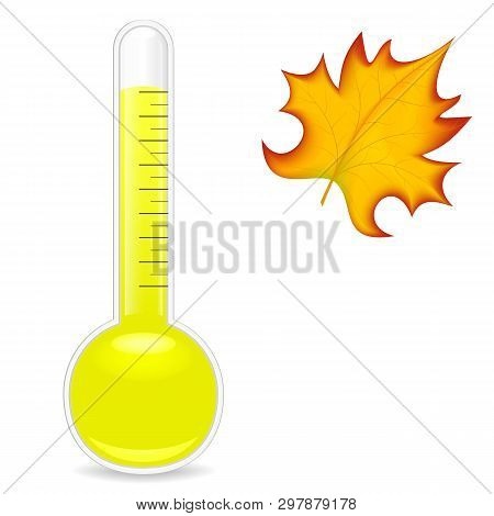Thermometer And Leaf On A White Background. Vector Image .