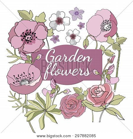 Floral Set. Summer And Spring Isolated Garden Flowers.