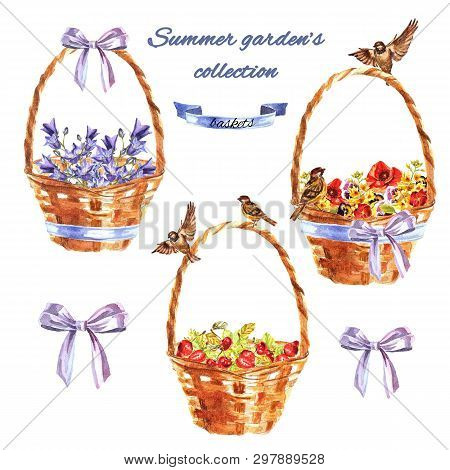 Set Of Hand Painted Watercolour Summer Berries And Flowers. Decorative Wicker Baskets With Bluebells