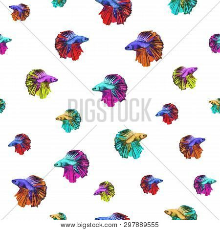 Watercolor Hand Painted Seamless Pattern Of Fighting-fish