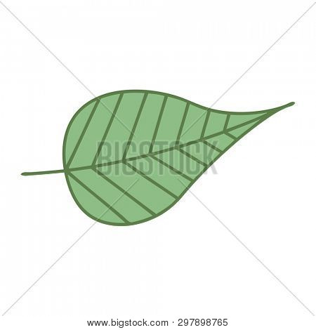 cute cartoon of a green leaf