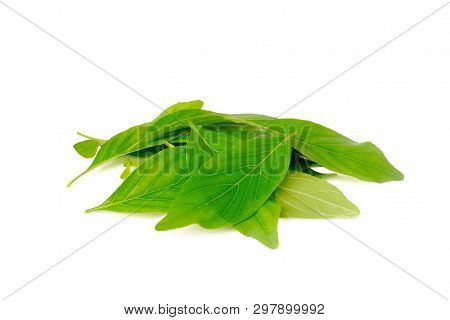 White Crane Flower Is Used To Extract Various Medicines For Medicinal Purposes In Thailand.(with Cli