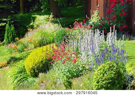 Summer Garden  With Blooming Perenial Flowers, Summer Garden
