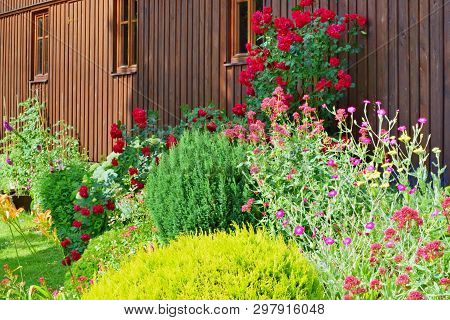 Summer Garden  With Blooming Perenial Flowers, Summer Garden