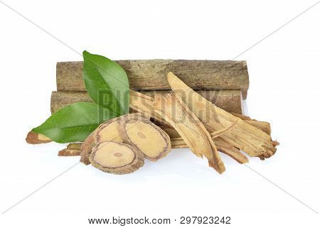 Eurycoma Longifolia With Green Leave  On White Background.