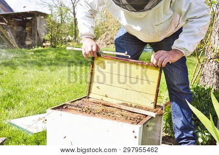 Horizontal Photo Of A Beekeeper In White Protection Suit And Denim Standing Behind A Beehive With Fr