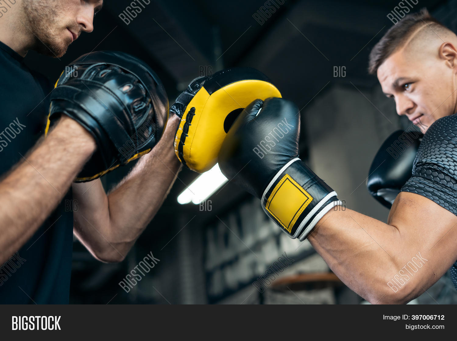 Two Muscle Boxers Image & Photo (Free Trial) Bigstock