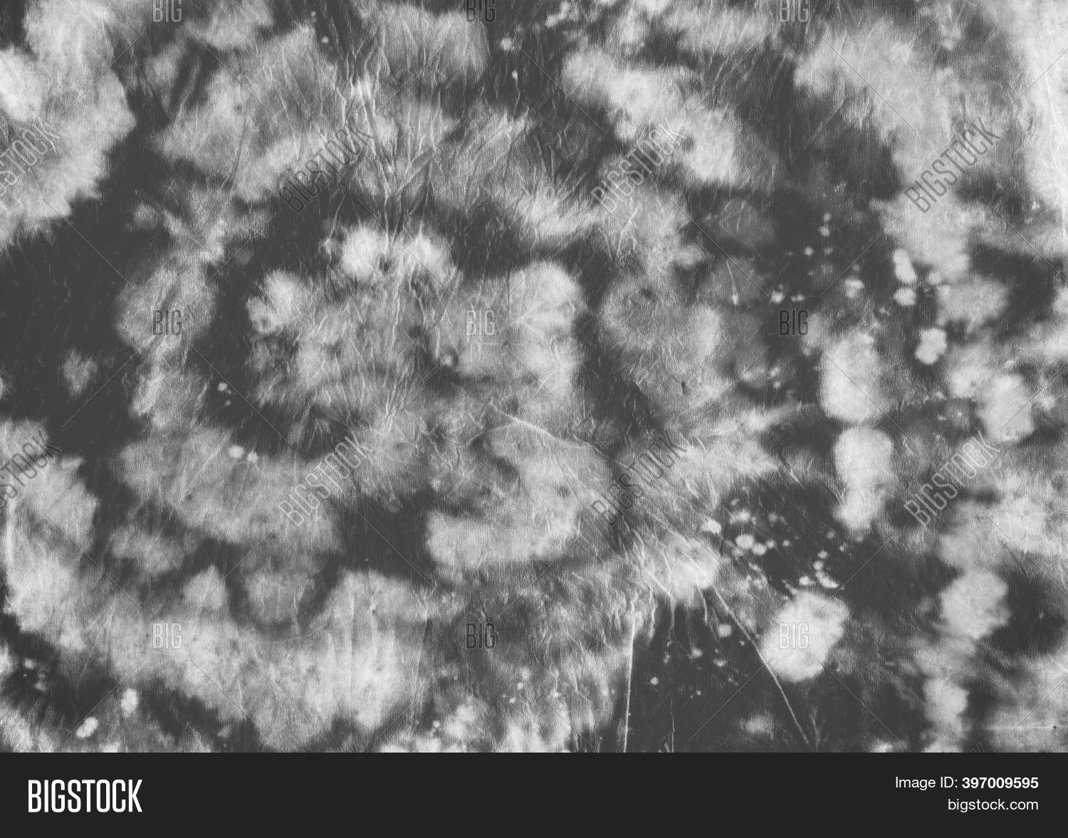 Tie Dye Fabric. Black Image & Photo (Free Trial) Bigstock