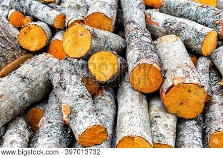 Chopped And Stacked Up Dry Firewood As Background. Stock Pile Of Timber, Chopped Down Trees